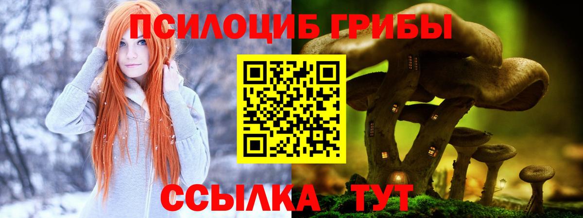 Городец  даркнет сайт  Вход с VPN  Галлюциногенные грибы Magic Shrooms 